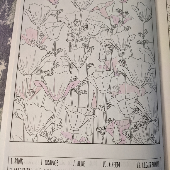 Adult Coloring Books (Set of 5) - Picture 11 of 11